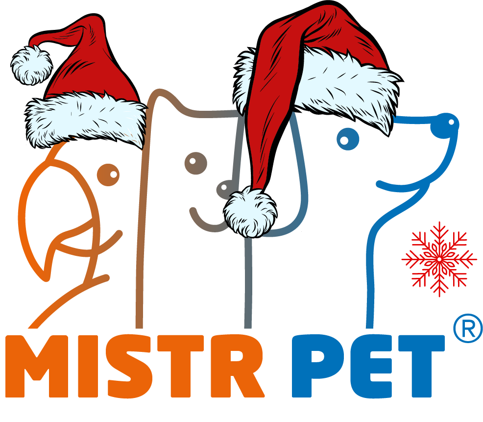 Datový zdroj 1Vánoční logo 3